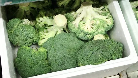 Broccoli cabbage in a box Vídeos de archivo 259710790