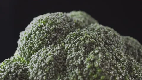 Broccoli cabbage on a dark background close-up Видео 131718837