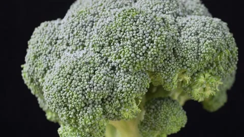 Broccoli cabbage on a dark background close-up Stock Footage 131719326
