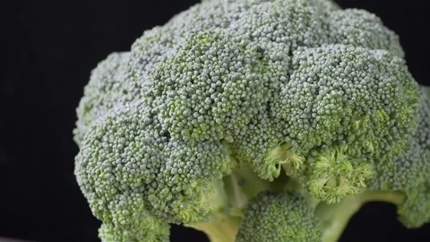 Broccoli cabbage on a dark background close-up Stock-Footage 131719565