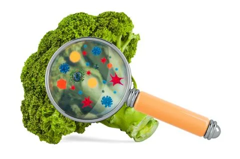 Broccoli cabbage with germs, microbes or viruses under magnifying glass, 3D r Stock Illustration