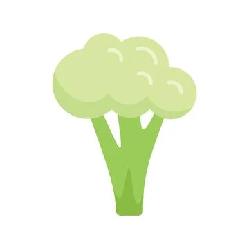 Broccoli cabbage icon flat vector. Brocoli food Ilustración de archivo