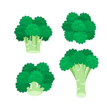 Broccoli cabbage icon set on white background. Stalk as Healthy Illustrazione stock