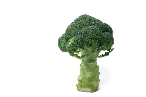 Broccoli cabbage Isolated Foto stock