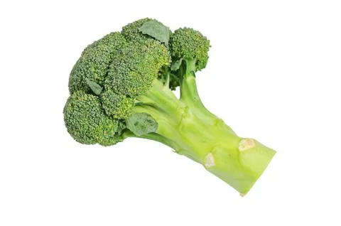 Broccoli cabbage on white background. Isolate photo Stock Photos