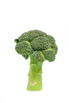 Broccoli cabbage on white background. Isolate photo Stock Photos