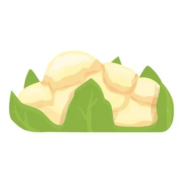 Broccoli cauliflower icon cartoon vector. Cabbage food Stock Illustration