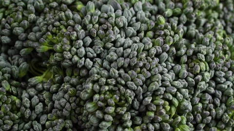 Broccoli close up for background Stock Footage 150974435