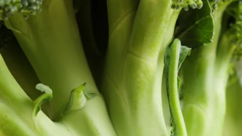 Broccoli close-up, fresh green broccoli, vitamins, raw food and vegetarian Stock Footage 170147261