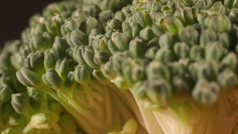 Broccoli close up macro from the side detail Stock Footage 288610291