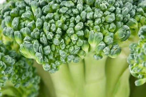Broccoli close-up Foto stock
