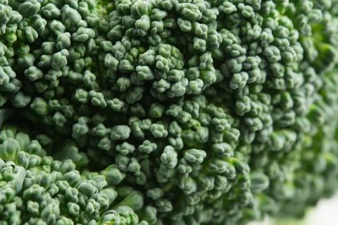 Broccoli close up Stock Photos