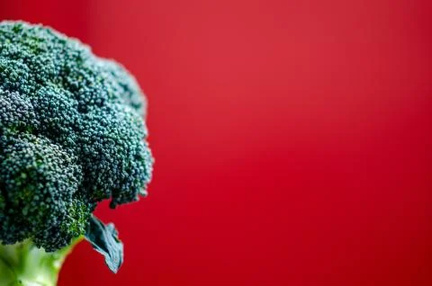 Broccoli close up on vibrant red background, healthy vegetable macro photog.. Foto stock