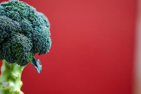 Broccoli close-up on vivid red background, fresh vegetable macro photography Foto stock