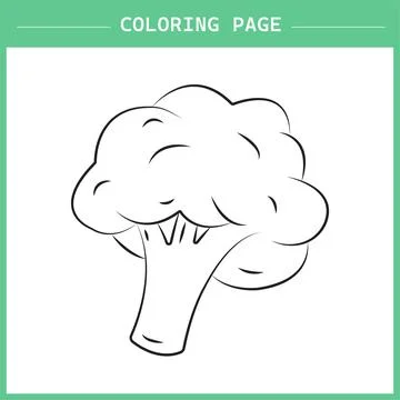 Broccoli Coloring Page Vector イラスト素材