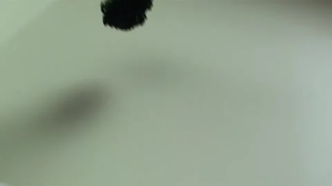 Broccoli Cream slow motion Stock Footage 131839729