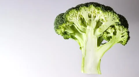 Broccoli cut in half on a gray background, copy space Stock Photos