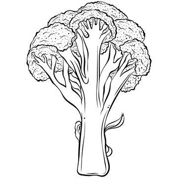 Broccoli cut line art Illustrazione stock
