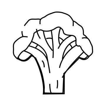 Broccoli cut line icon vector illustration Stock Illustration