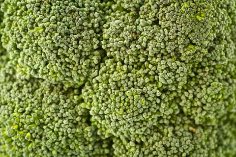 Broccoli detail Stock Photos