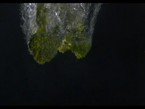 Broccoli diving into the water at the left side of the shot Stock Footage 74190795
