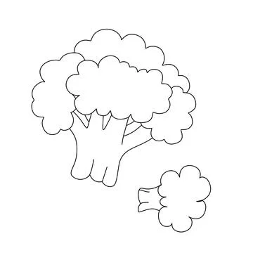 Broccoli Doodle Vector Coloring book for Kids Stock Illustration