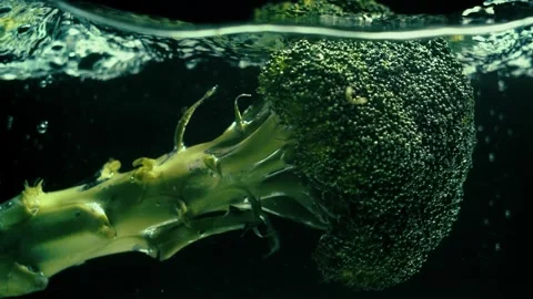 Broccoli Drops in Water in Slow Motion Stock Footage 300892806