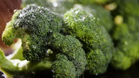 Broccoli With Drops of Water,Beautiful Macro 4k Video, Raw organic food Stock Footage 142454013
