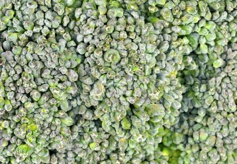 Broccoli extreme closeup Stock Photos
