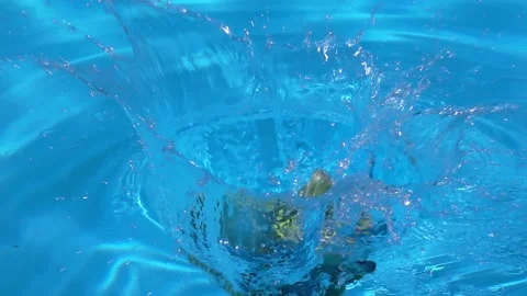 Broccoli fall into the water 動画素材 146627212