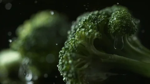 Broccoli falling on water surface. Slow Motion. Stock Footage 79390373