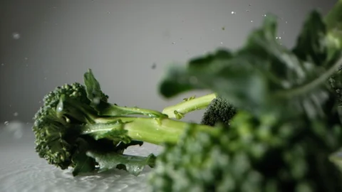 Broccoli falling on white surface. Slow Motion. Stock Footage 128771669