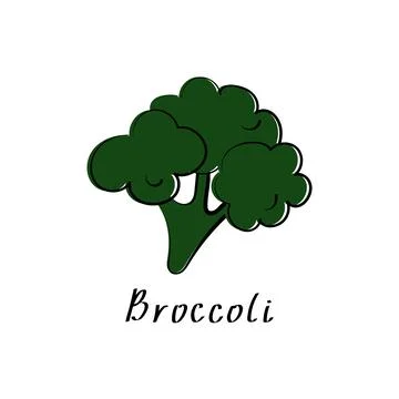 Broccoli flat illustration. Vegetable cabbage sign. Vector hand drawn cartoon Stock Illustration