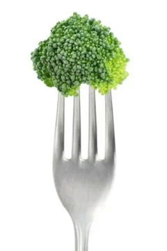 Broccoli floret on fork Stock Photos