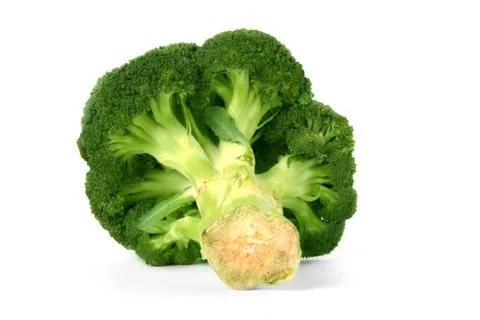 Broccoli floret isolated on a white background Stock Photos
