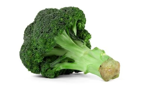 Broccoli floret Stock Photos