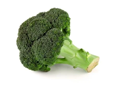Broccoli floret Stock Photos
