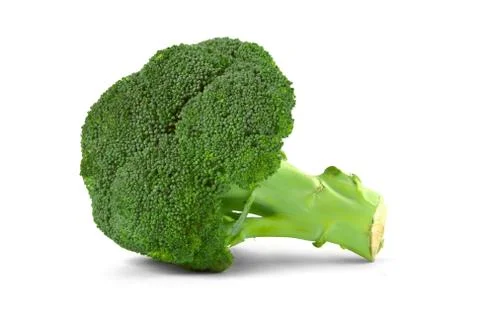 Broccoli floret Stock Photos