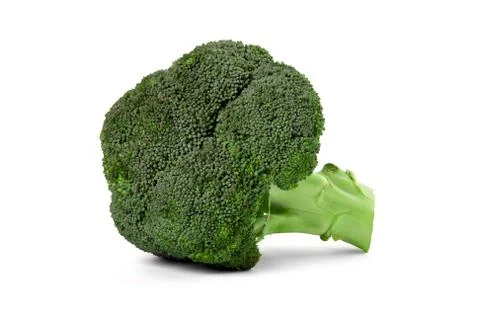 Broccoli floret Stock Photos