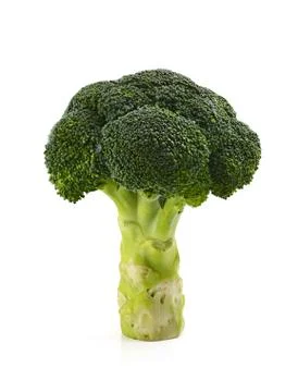 Broccoli floret Foto stock