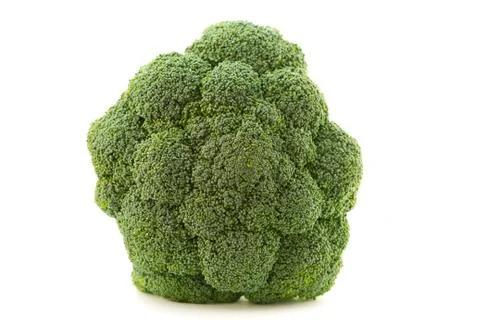 Broccoli floret Stock Photos