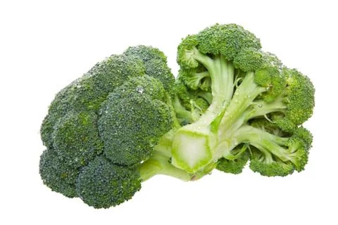 Broccoli florets Stock Photos