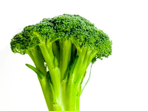 Broccoli florets Stock Photos