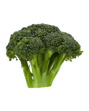Broccoli Florets Stock Photos