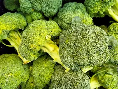 Broccoli florets Stock Photos