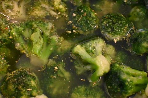 Broccoli florets in water Stock-Fotos
