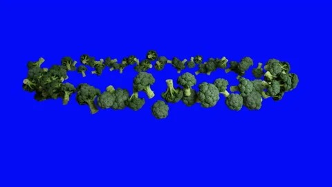 Broccoli flying in circle, seamless loop, Blue Screen Chromakey Stock Footage 142132030