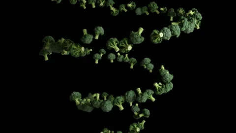 Broccoli flying in helix shape, seamless loop, Luma Matte attached Stock Footage 130237881