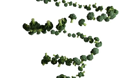 Broccoli flying in helix shape, seamless loop, against white Stock Footage 159936482
