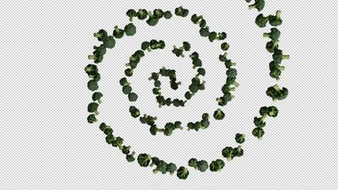 Broccoli flying in helix shape, upper view, seamless loop, Alpha Channel Stock Footage 192943708